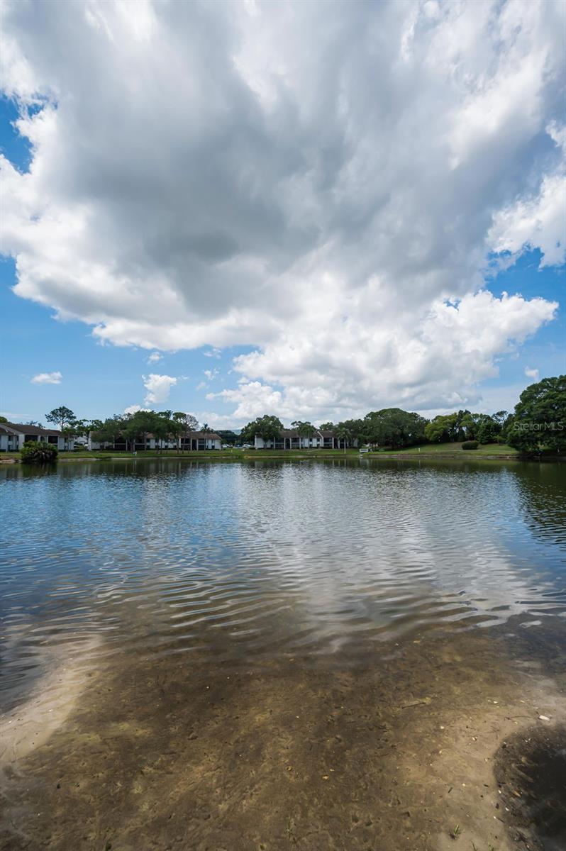 PINE RIDGE AT PALM HARBOR - Residential