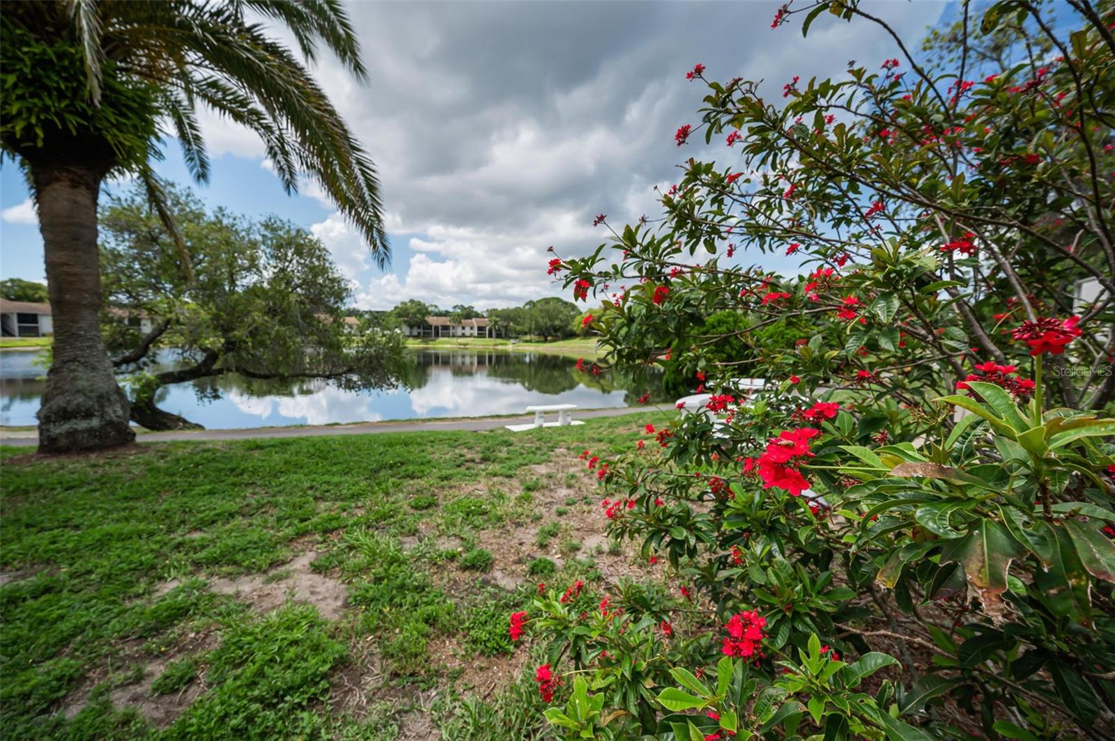 PINE RIDGE AT PALM HARBOR - Residential