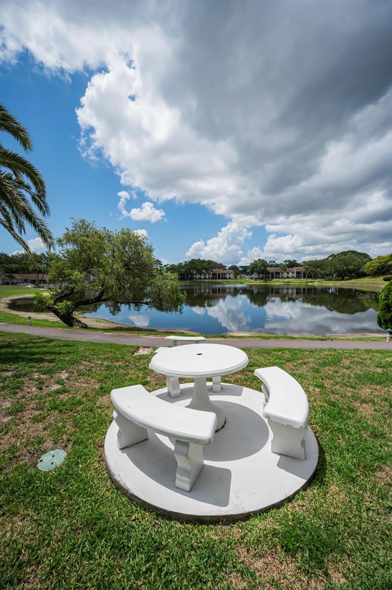 PINE RIDGE AT PALM HARBOR - Residential