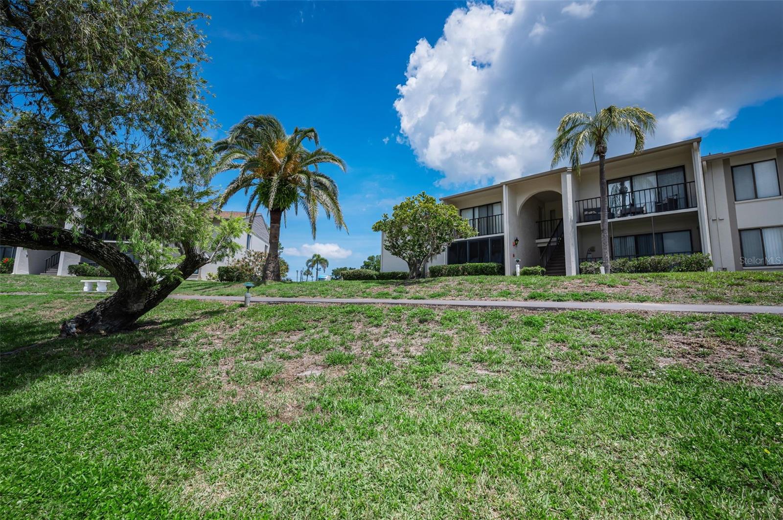 PINE RIDGE AT PALM HARBOR - Residential