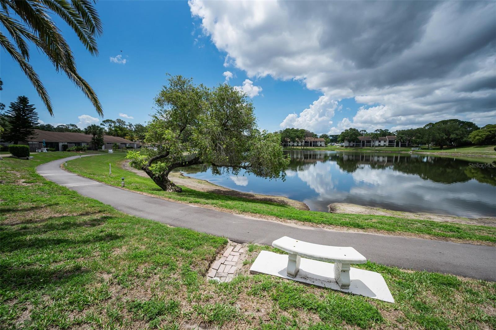 PINE RIDGE AT PALM HARBOR - Residential