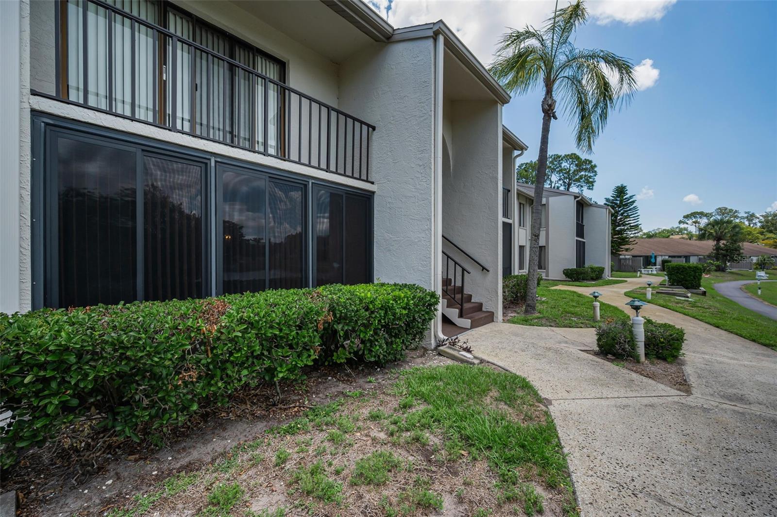 PINE RIDGE AT PALM HARBOR - Residential