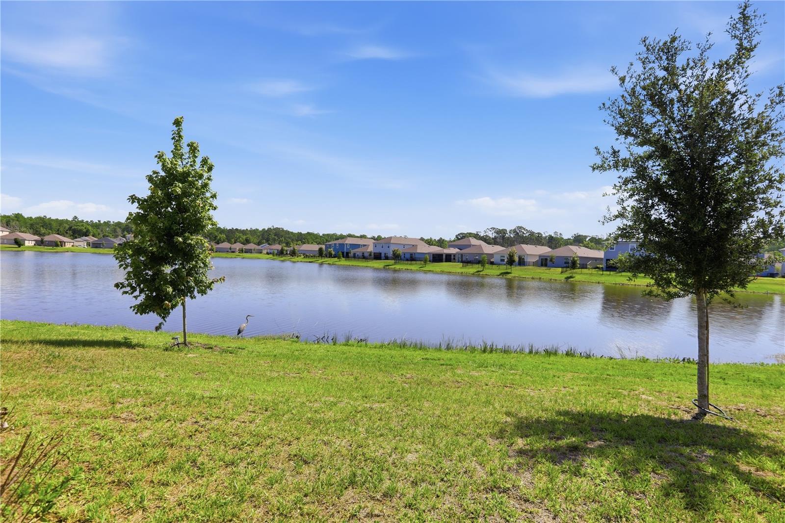 HARMONY CENTRAL PH 1 - Residential