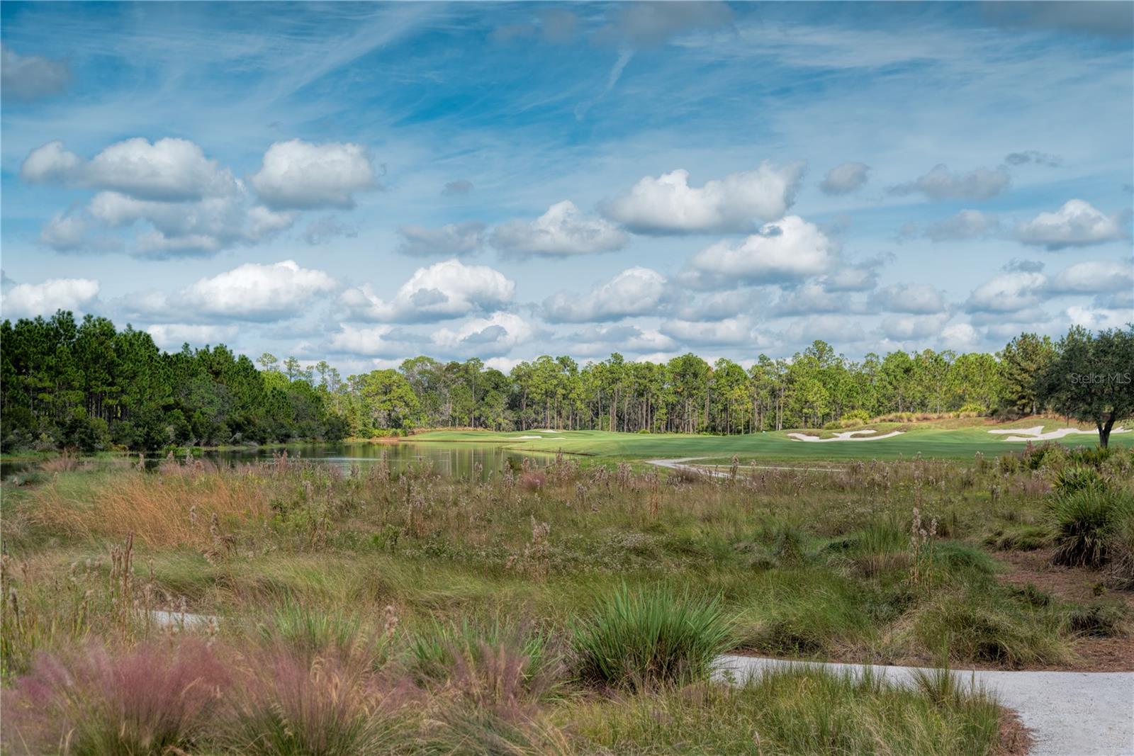 CONCESSION PH I - Residential