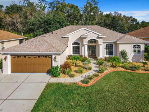 A home in BROOKSVILLE