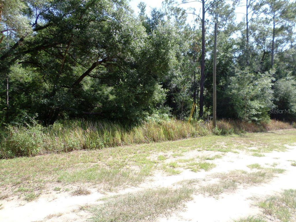 WITHLACOOCHEE RIVER BLUFFS UNREC - Land