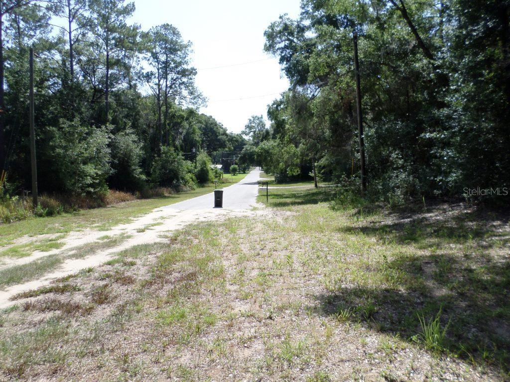 WITHLACOOCHEE RIVER BLUFFS UNREC - Land