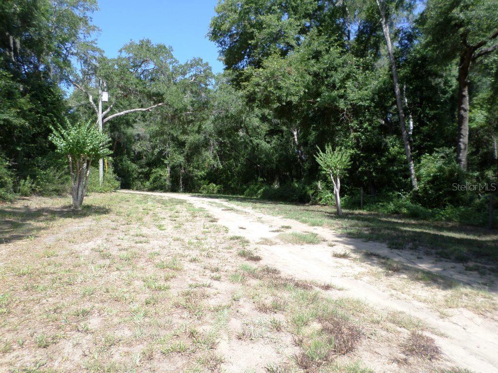 WITHLACOOCHEE RIVER BLUFFS UNREC - Land