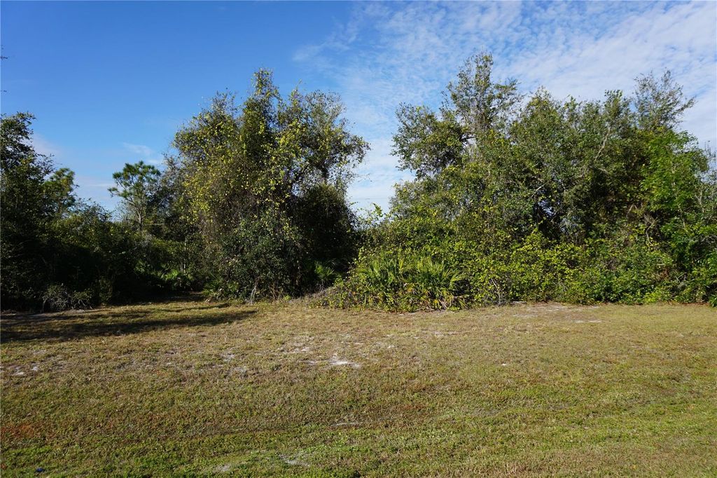 Photo of 323 Hiram Street, Punta Gorda, FL 33982 (MLS # C7503448)