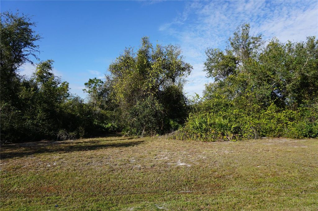 Photo of 323 Hiram Street, Punta Gorda, FL 33982 (MLS # C7503448)