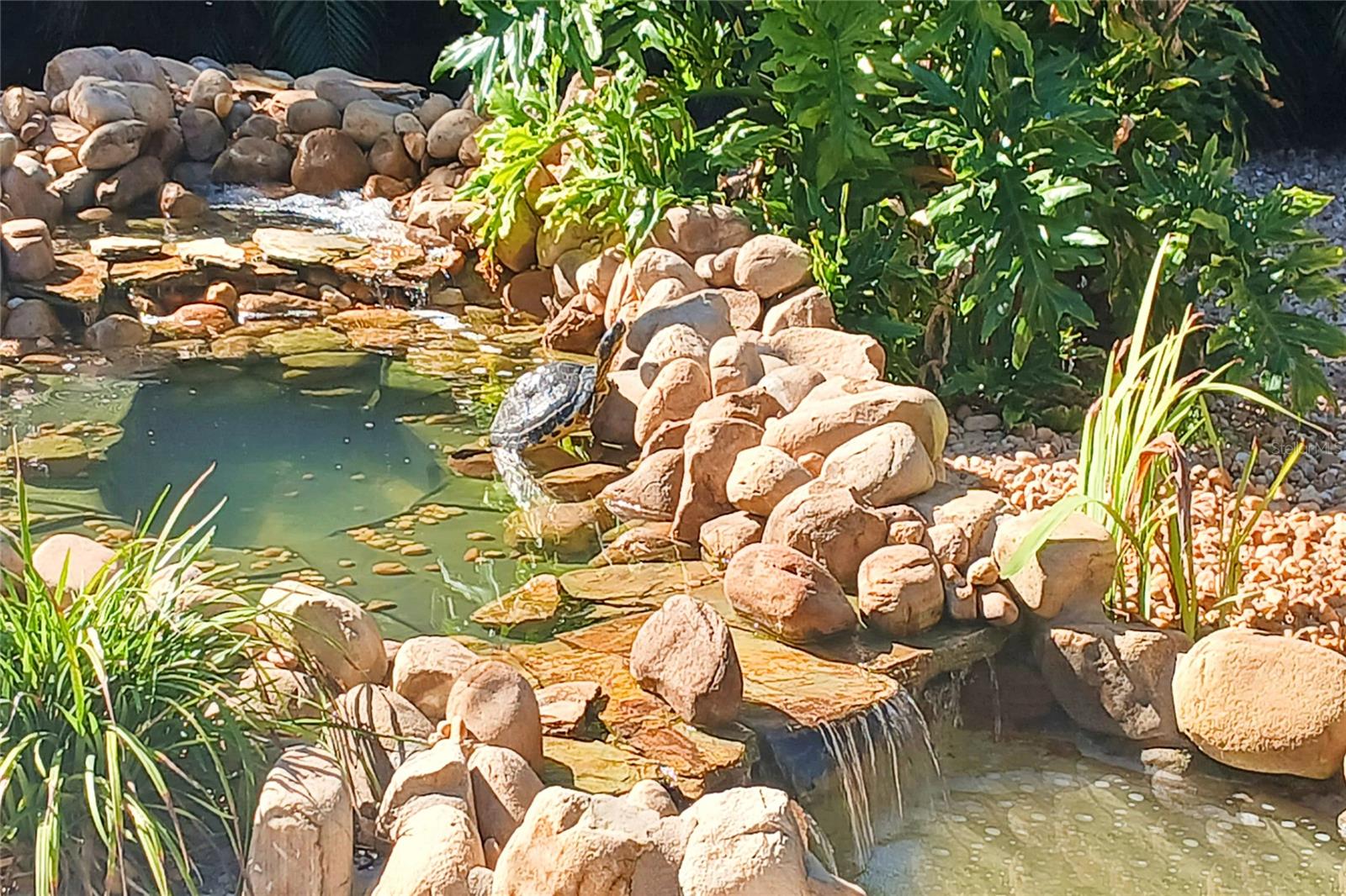 SUNRISE PARK REP - Residential