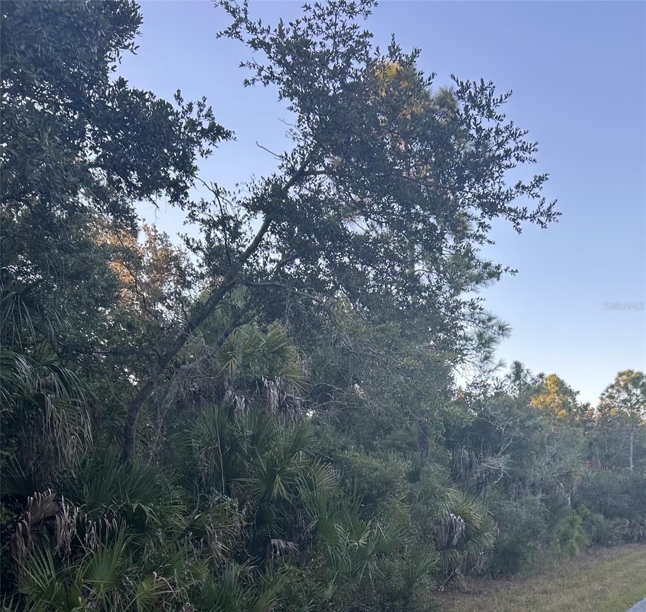 PORT CHARLOTTE SEC 013 - Land