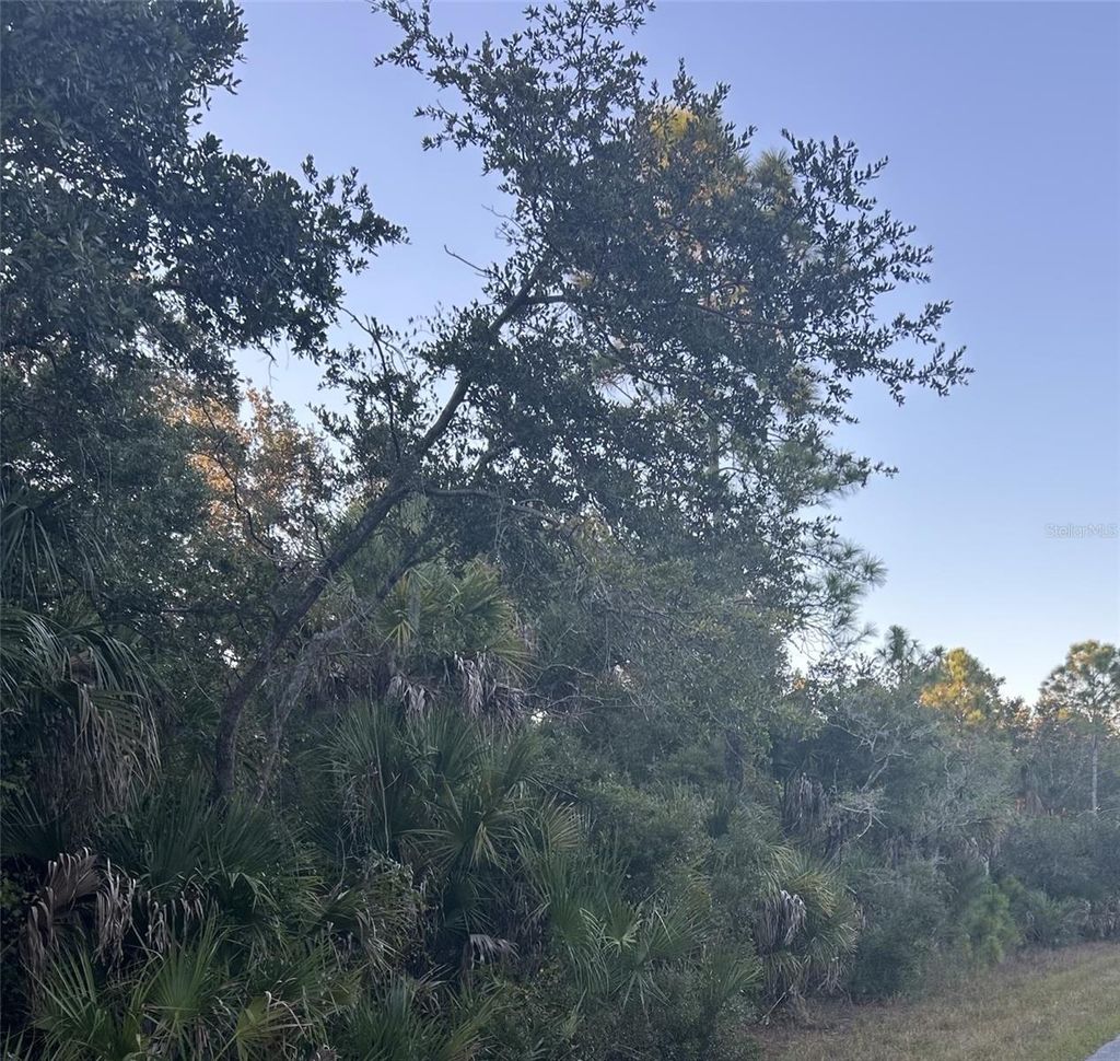 Photo of 23391 Buckner Avenue, Port Charlotte, FL 33980 (MLS # D6144638)