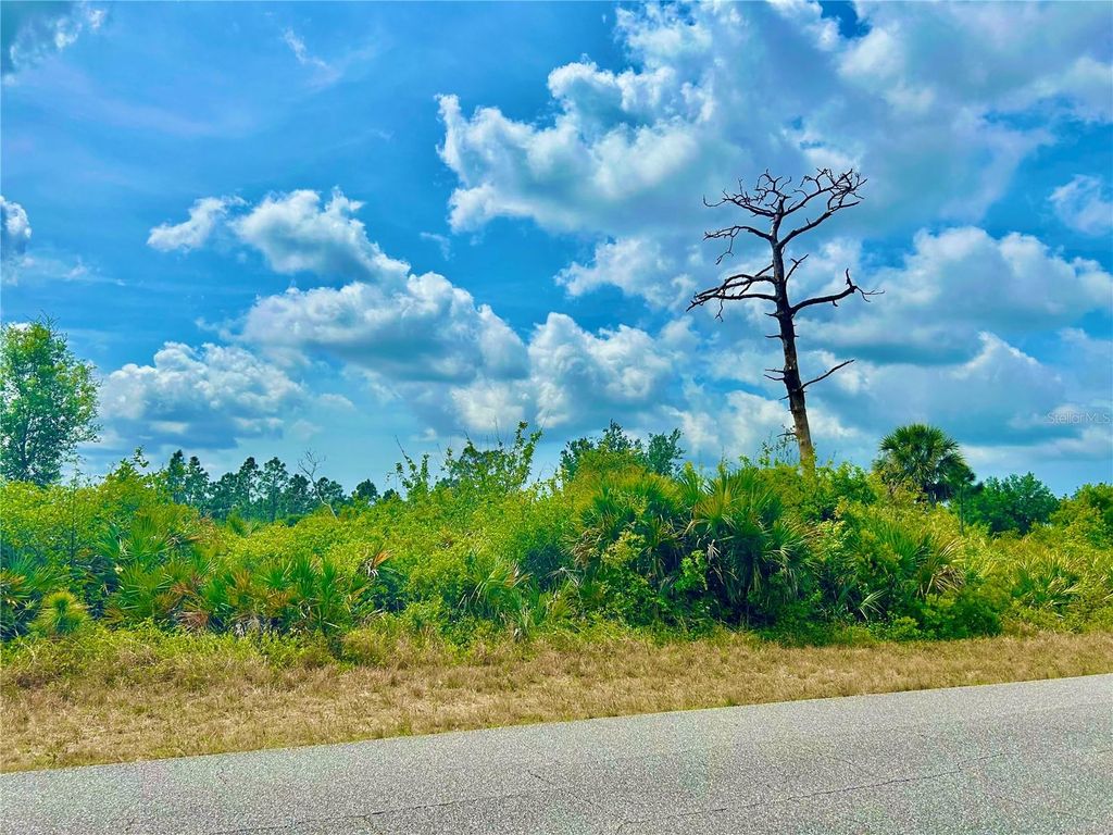 Photo of 12053 Abrams Avenue, Port Charlotte, FL 33981 (MLS # C7507406)