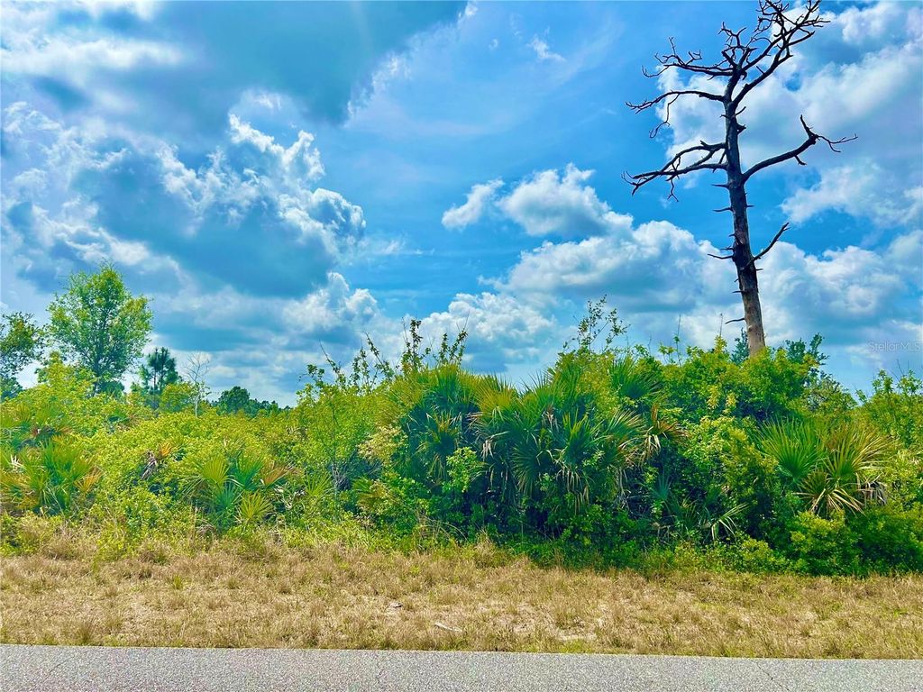 Photo of 12053 Abrams Avenue, Port Charlotte, FL 33981 (MLS # C7507406)