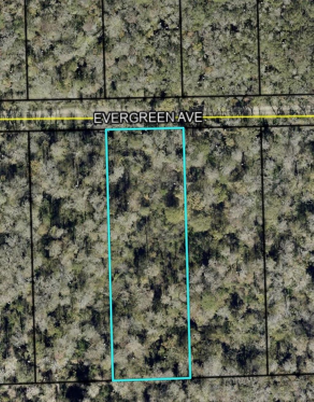 Photo of 3741 Evergreen Avenue, Bunnell, FL 32110 (MLS # FC318639)
