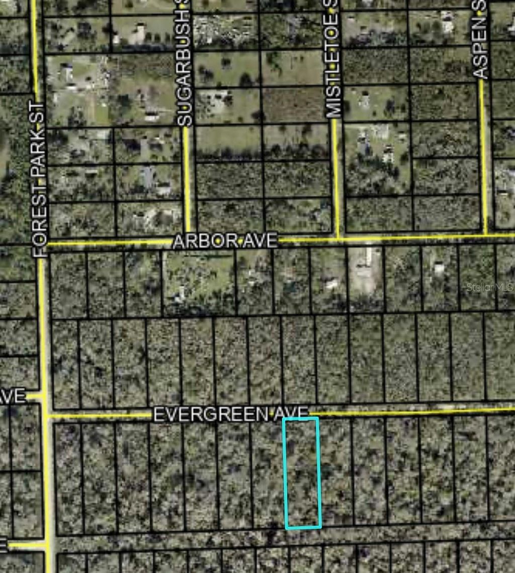 Photo of 3741 Evergreen Avenue, Bunnell, FL 32110 (MLS # FC318639)
