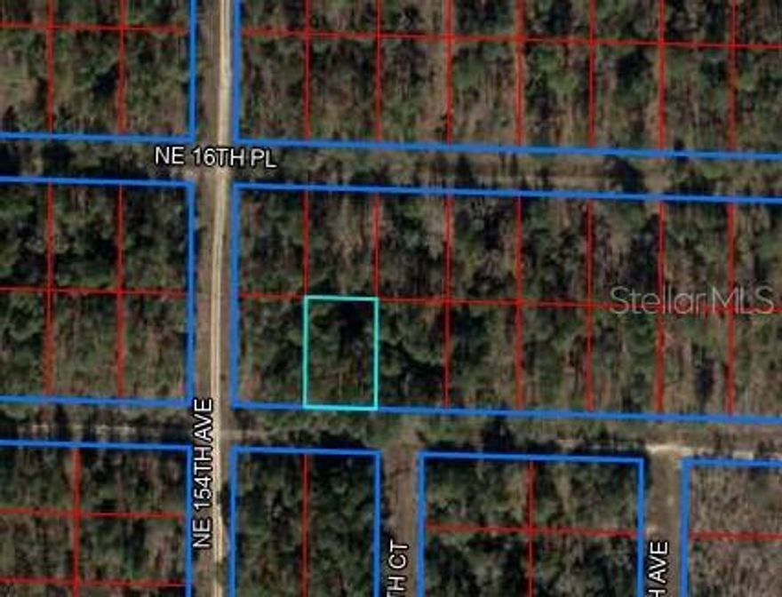Excellent 0.23-acre lot is available for future investment or to put a mobile, tiny, prefabricated, container, or regular home. The lot is 30 minutes from Ocala and very close to the World Equestrian Center. Just 10 minutes to Williston and 25 minutes to Gainesville. Lot measures about 80' wide on the front and 125' deep. No HOA and no time limits to build. Zoned Agricultural/Rural Residential, this lot is also very close to the Gothe State Forest and very close to the 121 highway for quick access to shopping and the towns nearby. You will be close to Ocala, Gainesville, Dunnellon, Williston, Chiefland, and Bronson.