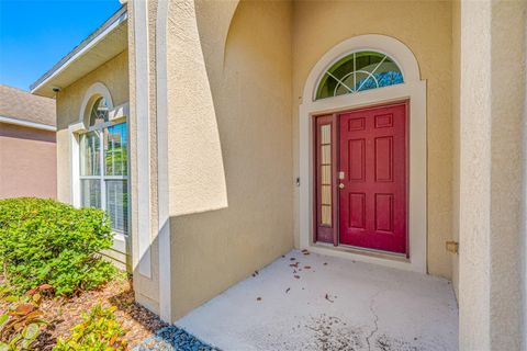 A home in RIVERVIEW