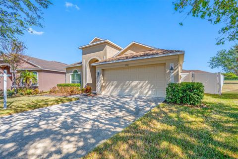 A home in RIVERVIEW