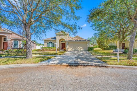 A home in RIVERVIEW