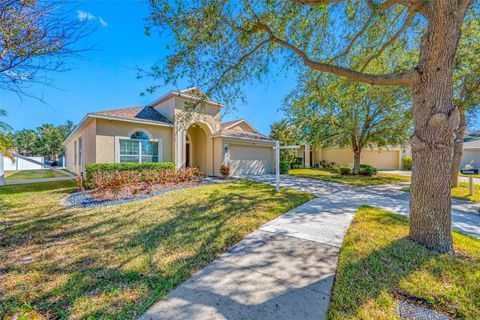 A home in RIVERVIEW