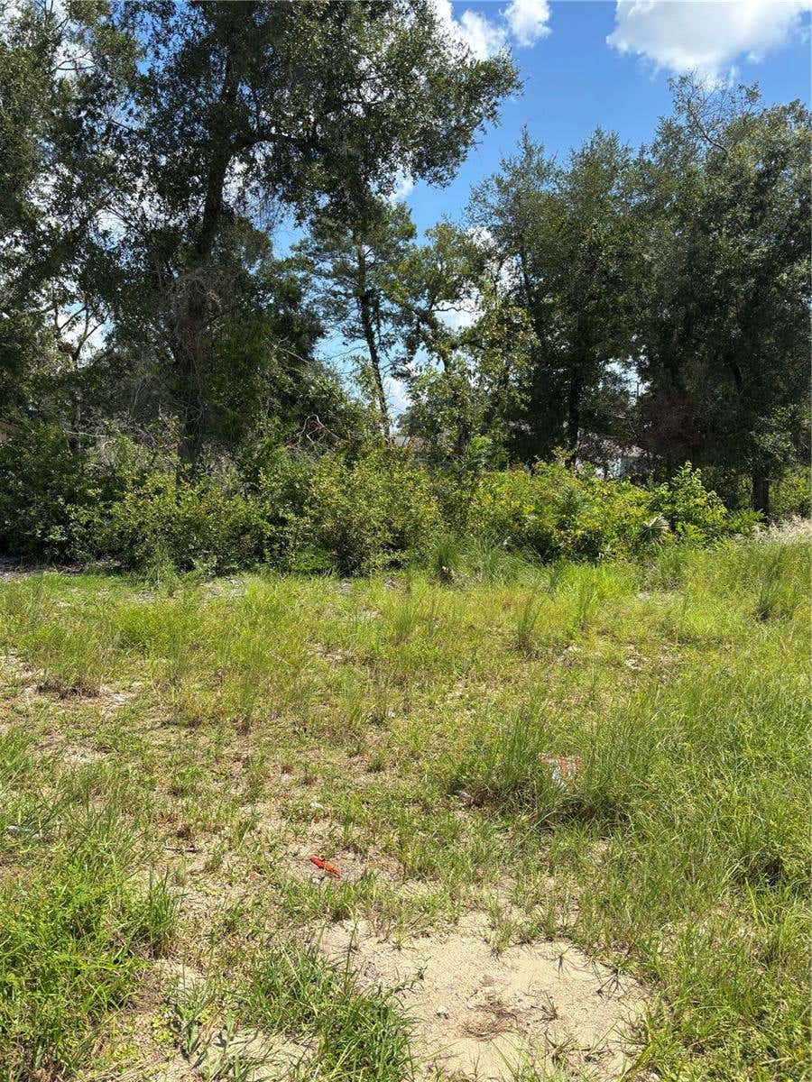 Photo of Tbd SE 164th Place, Summerfield, FL 34491 (MLS # G5116579)