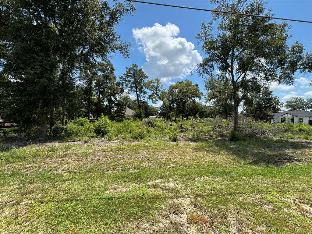 Photo of Tbd SE 164th Place, Summerfield, FL 34491 (MLS # G5116579)