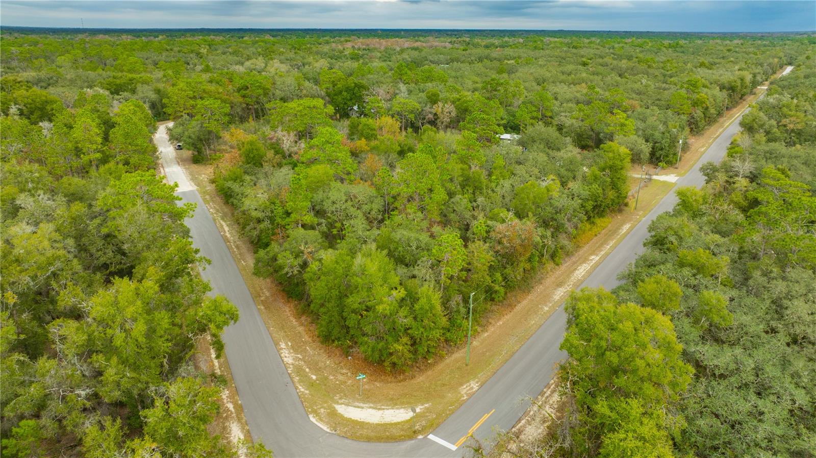 RIDGE MANOR ESTATE - Land