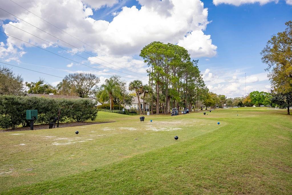 3519 BACKSPIN LANE