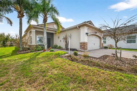 Photo of 2864 Tarragona Way, Wesley Chapel, FL 33543 (MLS # J999475)