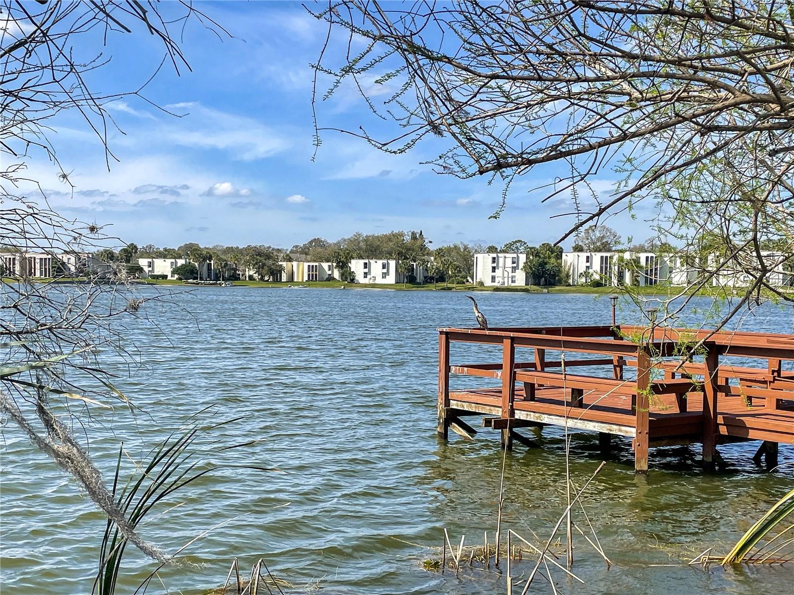 SANDY COVE - Residential