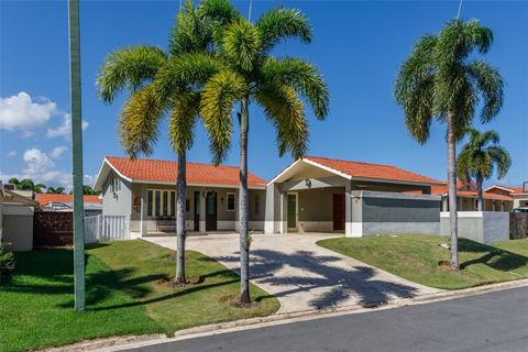 121 CAMINOS DE LOS LOTOS SABANERA DORADO  00646