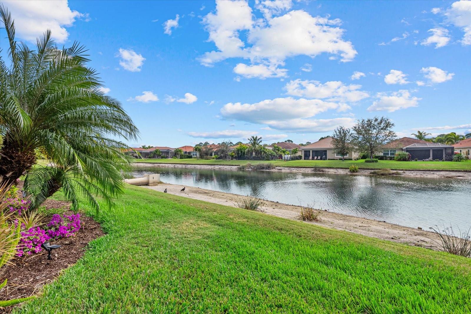 CARIBBEAN VILLAGE - Residential
