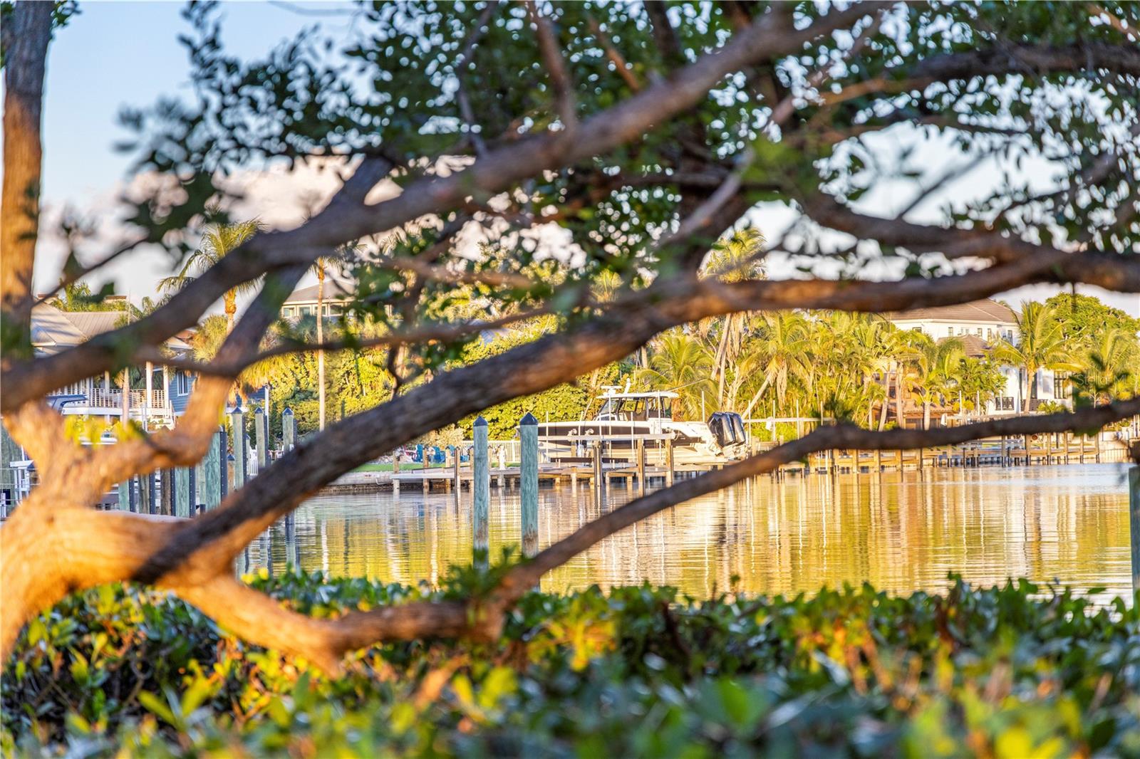 BAY ISLAND REP 01 - Land