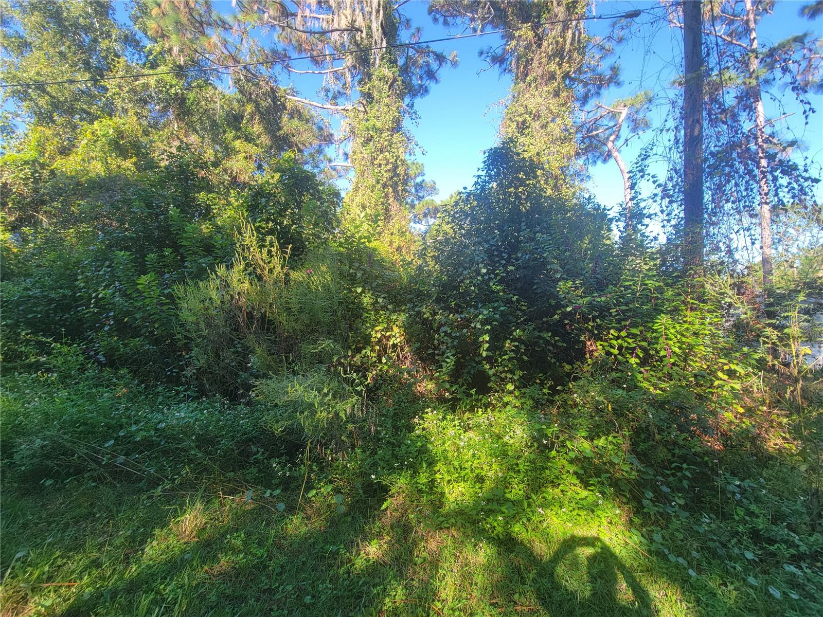 MOON LAKE ESTATES - Land