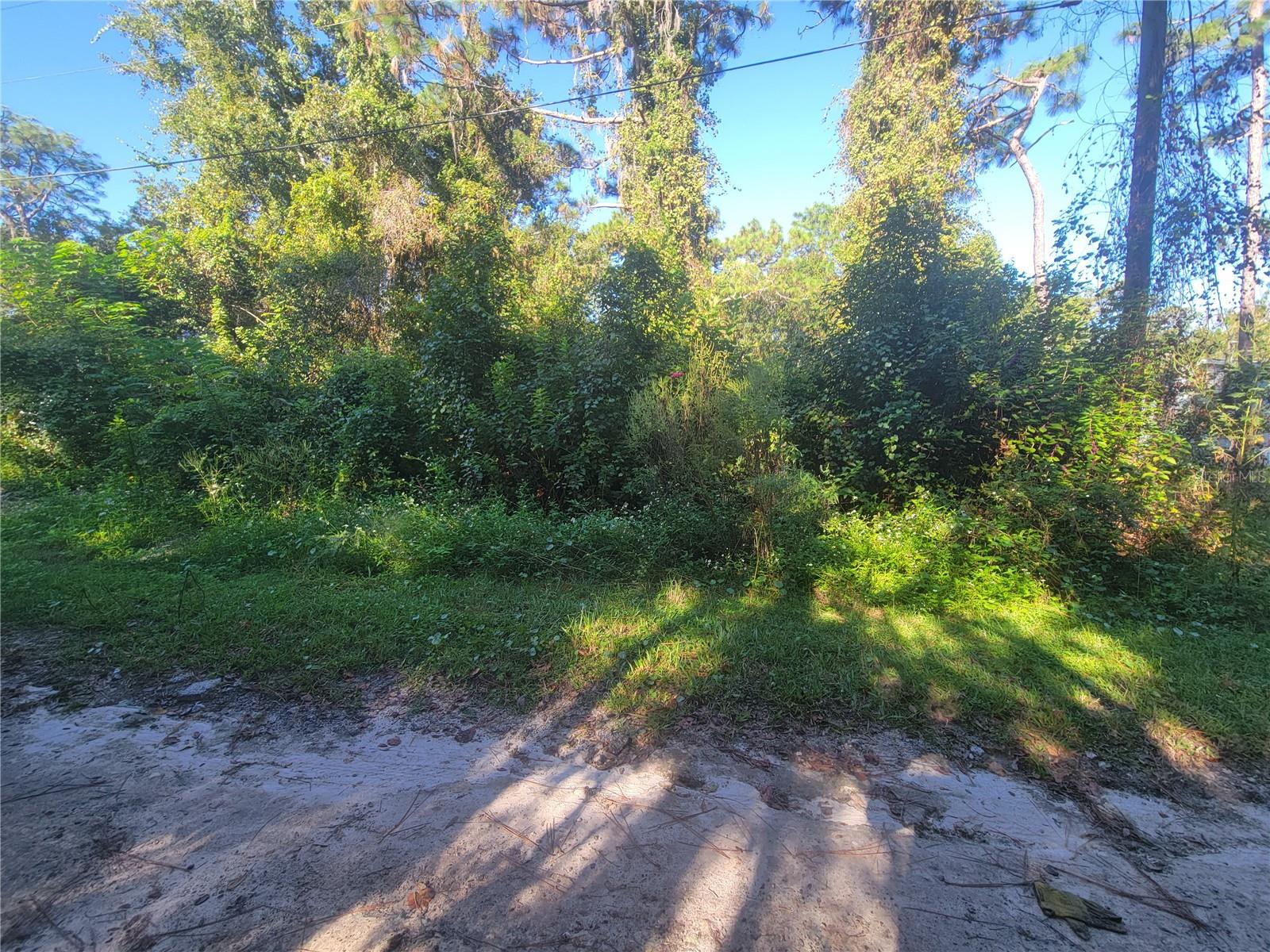 MOON LAKE ESTATES - Land