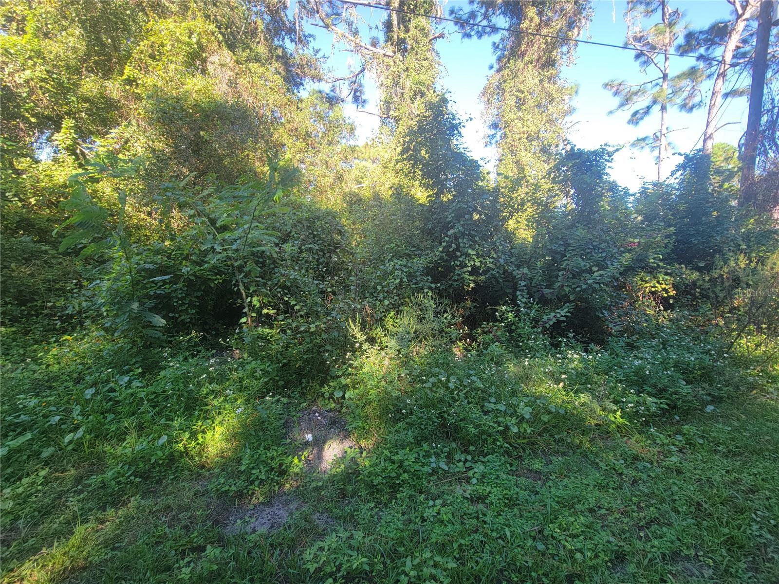 MOON LAKE ESTATES - Land
