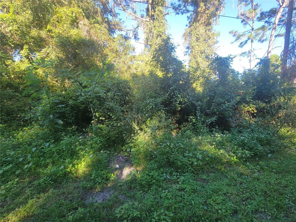 Photo of Naper Street, New Port Richey, FL 34654 (MLS # TB8432709)