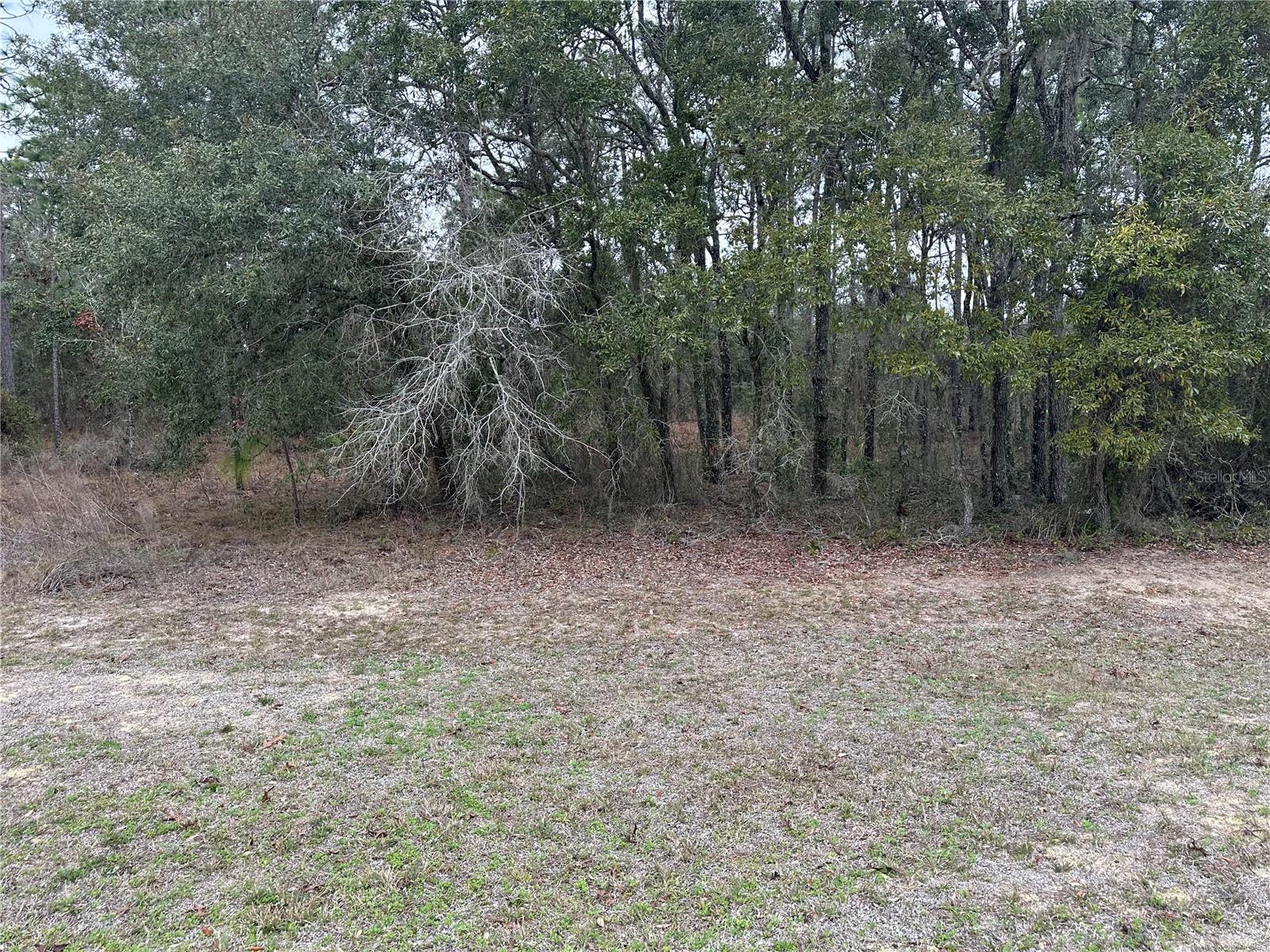 0000 SE 123 RD TERRACE