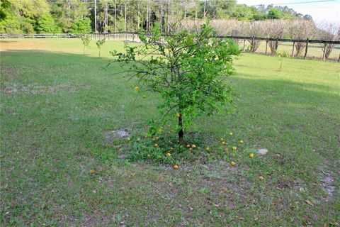 A home in OCKLAWAHA