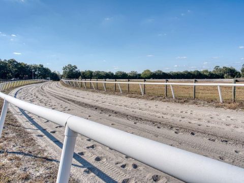 Tiny photo for 1345 NE 155 Place, Citra, FL 32113 (MLS # OM713645)