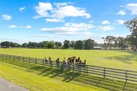 Tiny photo for 1345 NE 155 Place, Citra, FL 32113 (MLS # OM713645)