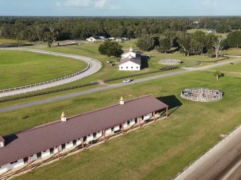 Tiny photo for 1345 NE 155 Place, Citra, FL 32113 (MLS # OM713645)