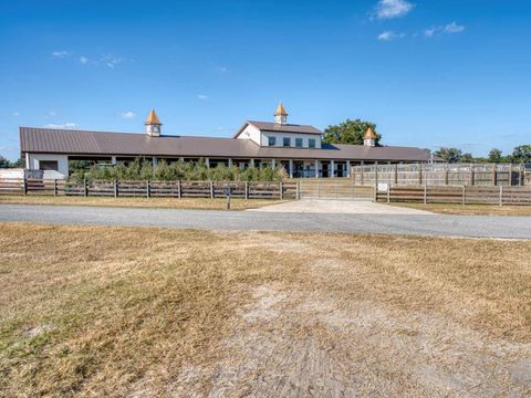 Tiny photo for 1345 NE 155 Place, Citra, FL 32113 (MLS # OM713645)