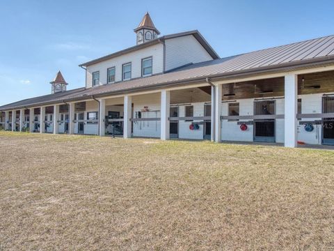 Tiny photo for 1345 NE 155 Place, Citra, FL 32113 (MLS # OM713645)