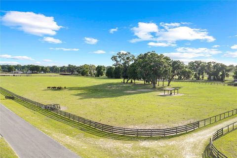 Tiny photo for 1345 NE 155 Place, Citra, FL 32113 (MLS # OM713645)