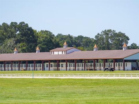 Tiny photo for 1345 NE 155 Place, Citra, FL 32113 (MLS # OM713645)