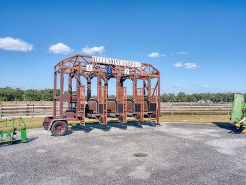 Tiny photo for 1345 NE 155 Place, Citra, FL 32113 (MLS # OM713645)