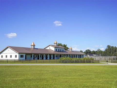 Tiny photo for 1345 NE 155 Place, Citra, FL 32113 (MLS # OM713645)